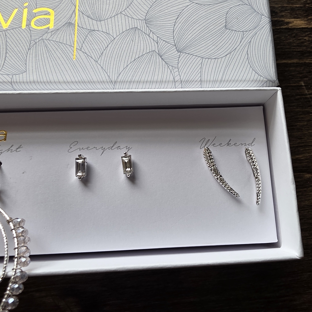 Silver Earring Set - Picture 5 of 10